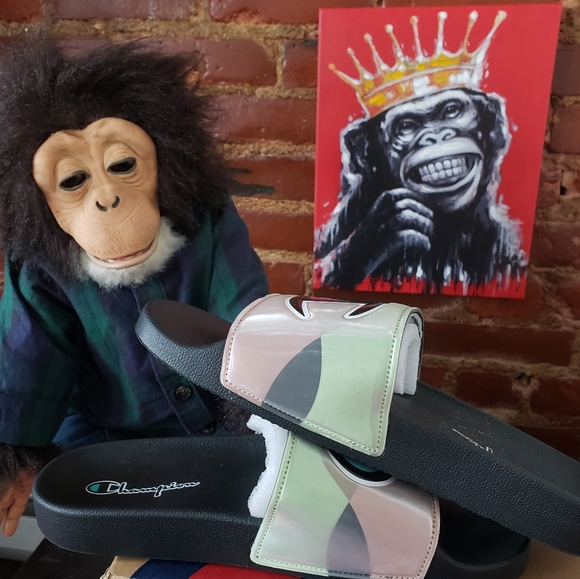 Champion Slides - Picture 4 of 9